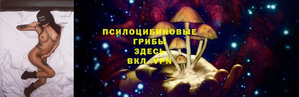 MDMA Богородицк