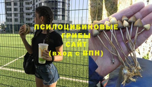 мяу мяу кристалл Богородск